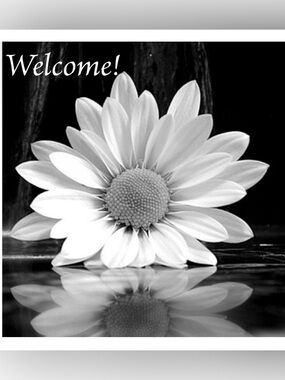 Welcome!🌼